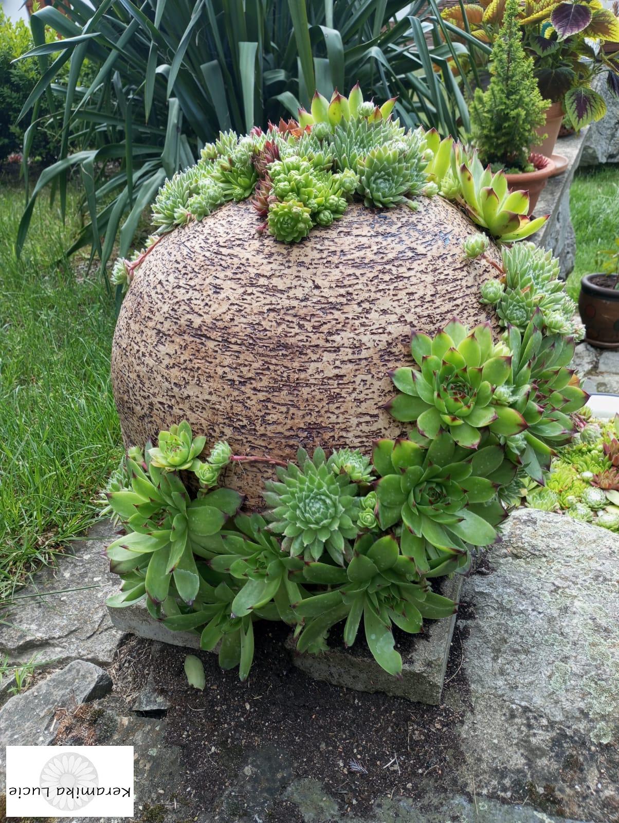 Koule na sukulenty 25 cm