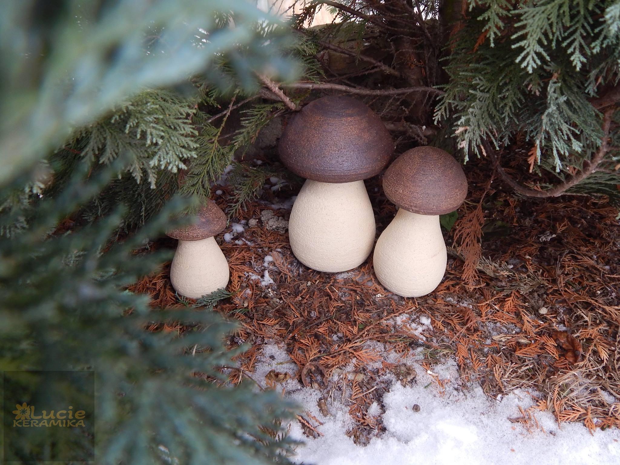 Hříbek 5 cm