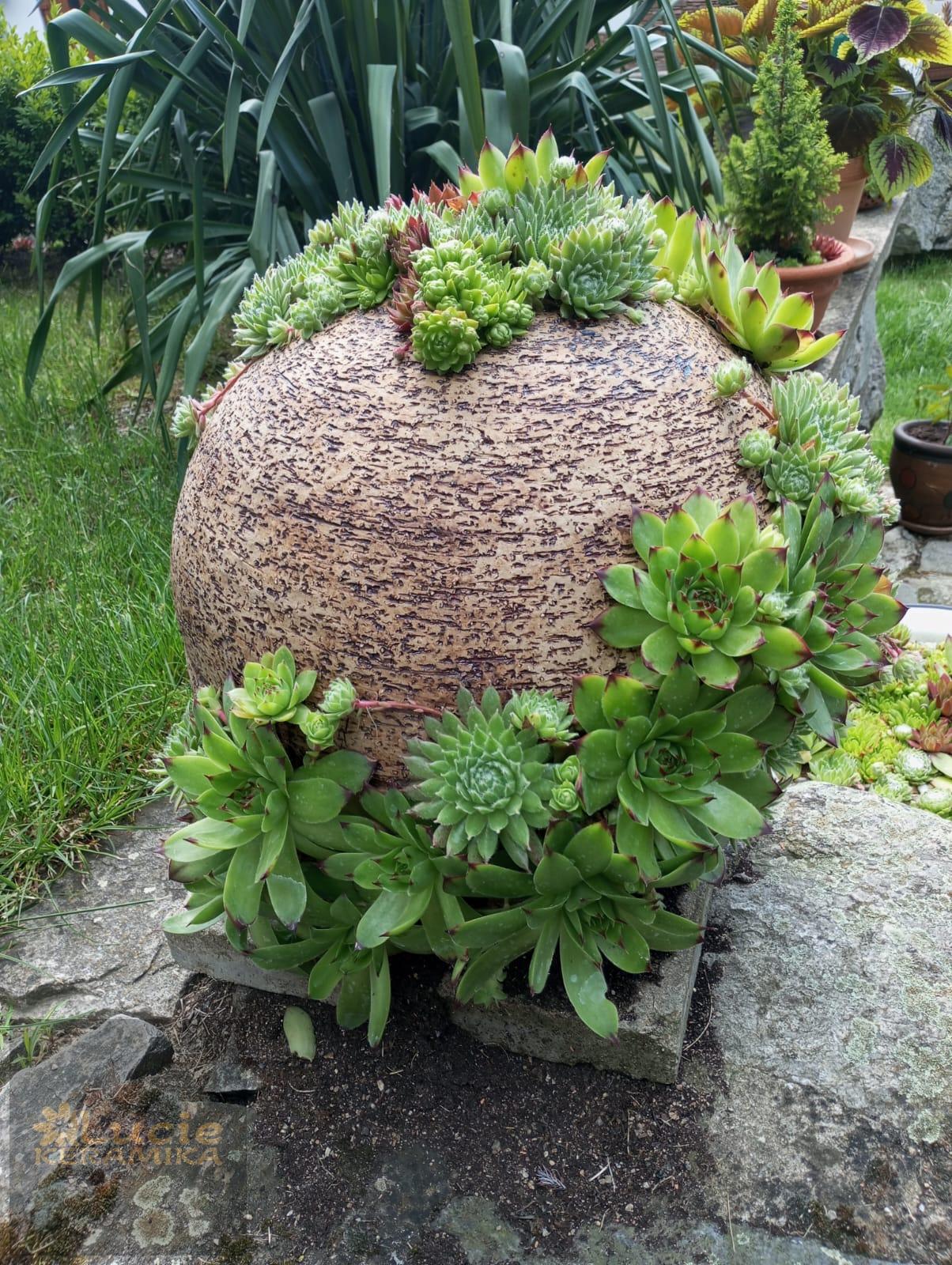 Koule na sukulenty 30 cm 
