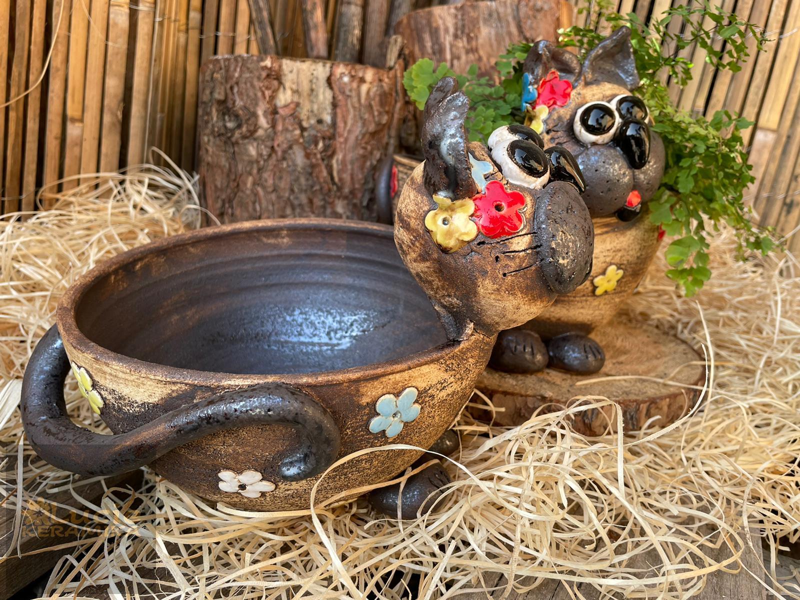 Miska kočka