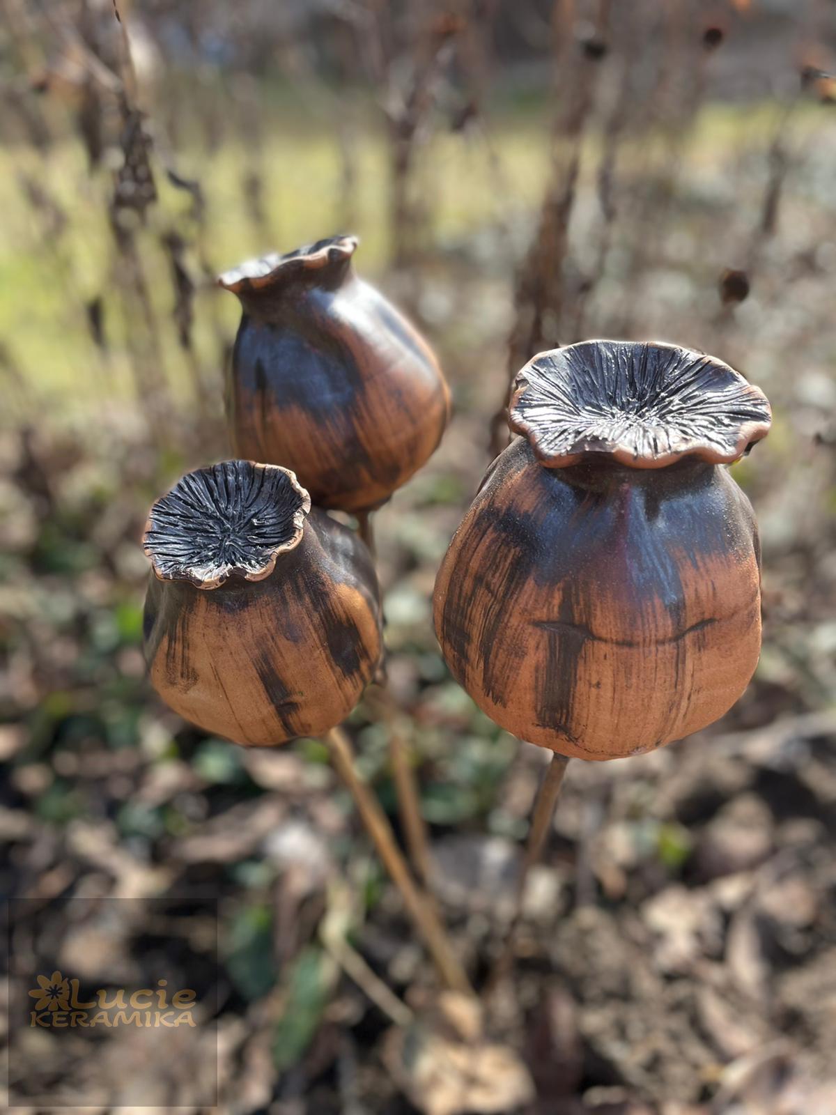 Makovice červeno-hnědá 12 cm
