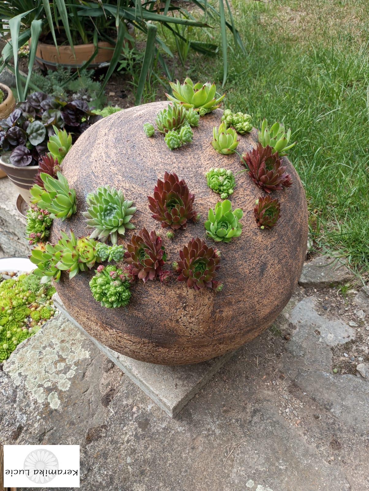 Koule na sukulenty 30 cm 